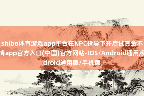 shibo体育游戏app平台在NPC指导下开启试真金不怕火-世博app官方入口(中国)官方网站-IOS/Android通用版/手机版
