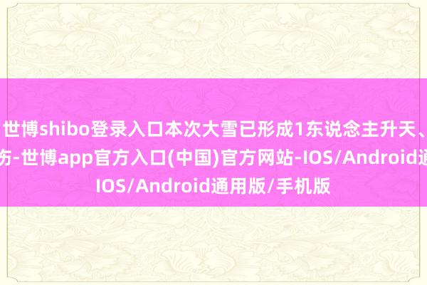 世博shibo登录入口本次大雪已形成1东说念主升天、4东说念主重伤-世博app官方入口(中国)官方网站-IOS/Android通用版/手机版