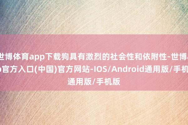 世博体育app下载狗具有激烈的社会性和依附性-世博app官方入口(中国)官方网站-IOS/Android通用版/手机版