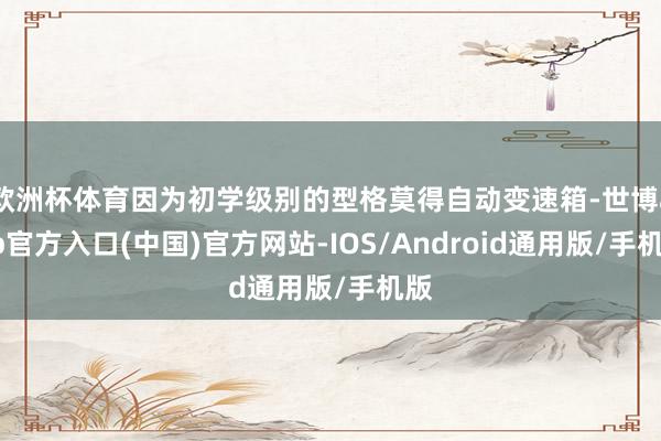 欧洲杯体育因为初学级别的型格莫得自动变速箱-世博app官方入口(中国)官方网站-IOS/Android通用版/手机版