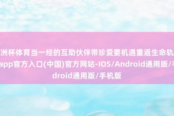 欧洲杯体育当一经的互助伙伴带珍爱要机遇重返生命轨迹-世博app官方入口(中国)官方网站-IOS/Android通用版/手机版