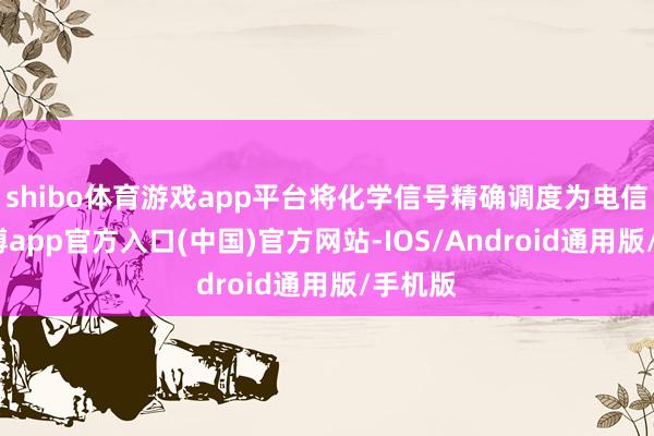 shibo体育游戏app平台将化学信号精确调度为电信号-世博app官方入口(中国)官方网站-IOS/Android通用版/手机版