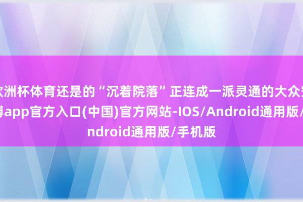 欧洲杯体育还是的“沉着院落”正连成一派灵通的大众空间-世博app官方入口(中国)官方网站-IOS/Android通用版/手机版