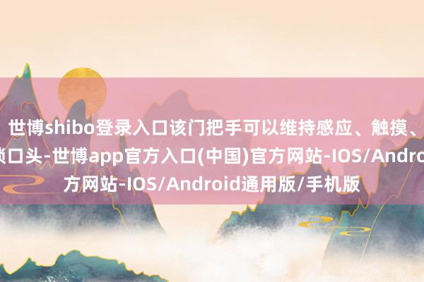 世博shibo登录入口该门把手可以维持感应、触摸、遥控钥匙三种解锁口头-世博app官方入口(中国)官方网站-IOS/Android通用版/手机版