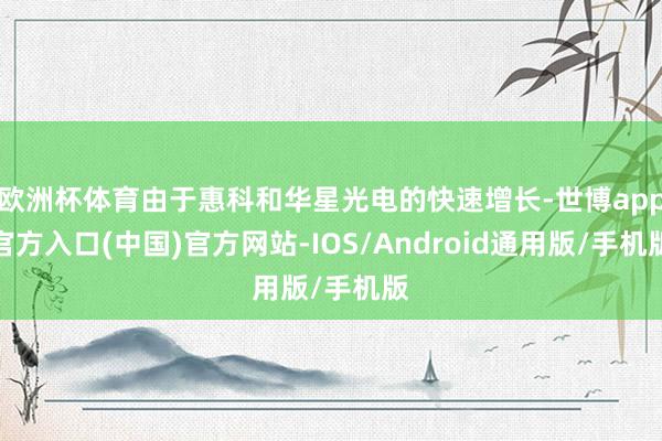 欧洲杯体育由于惠科和华星光电的快速增长-世博app官方入口(中国)官方网站-IOS/Android通用版/手机版