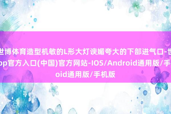 世博体育造型机敏的L形大灯谀媚夸大的下部进气口-世博app官方入口(中国)官方网站-IOS/Android通用版/手机版