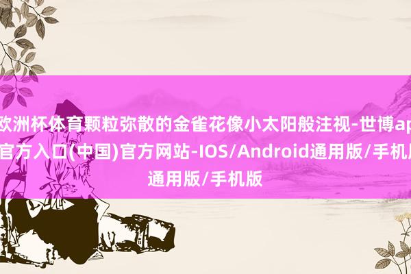 欧洲杯体育颗粒弥散的金雀花像小太阳般注视-世博app官方入口(中国)官方网站-IOS/Android通用版/手机版