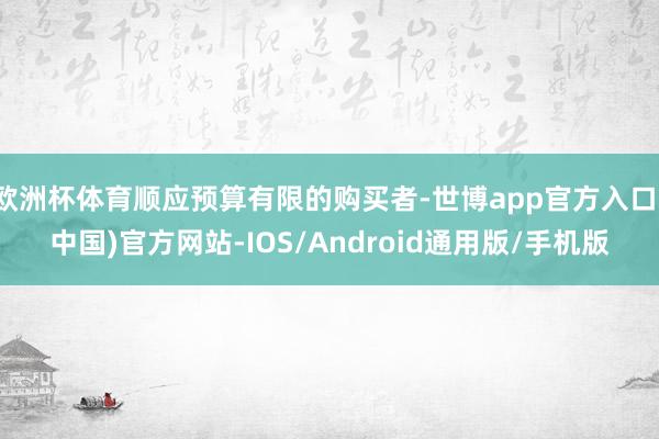 欧洲杯体育顺应预算有限的购买者-世博app官方入口(中国)官方网站-IOS/Android通用版/手机版