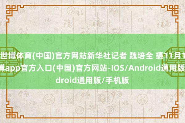 世博体育(中国)官方网站新华社记者 魏培全 摄11月13日-世博app官方入口(中国)官方网站-IOS/Android通用版/手机版