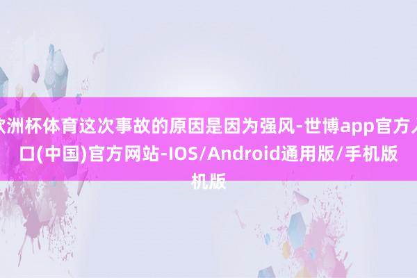欧洲杯体育这次事故的原因是因为强风-世博app官方入口(中国)官方网站-IOS/Android通用版/手机版