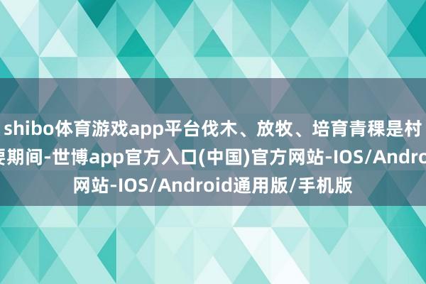 shibo体育游戏app平台伐木、放牧、培育青稞是村民防守生活的主要期间-世博app官方入口(中国)官方网站-IOS/Android通用版/手机版
