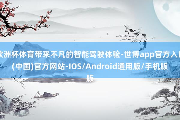 欧洲杯体育带来不凡的智能驾驶体验-世博app官方入口(中国)官方网站-IOS/Android通用版/手机版