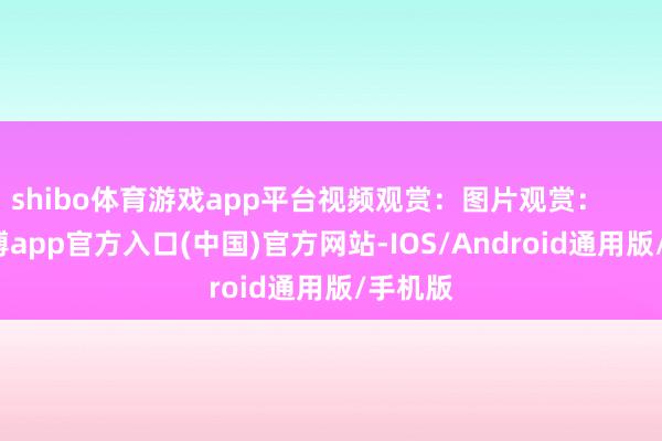 shibo体育游戏app平台视频观赏：图片观赏：          -世博app官方入口(中国)官方网站-IOS/Android通用版/手机版
