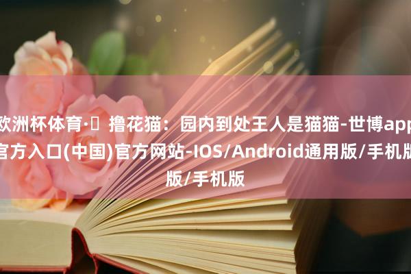 欧洲杯体育·✅撸花猫：园内到处王人是猫猫-世博app官方入口(中国)官方网站-IOS/Android通用版/手机版