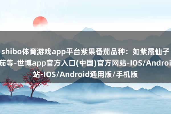 shibo体育游戏app平台紫果番茄品种：如紫霞仙子番茄、紫千禧番茄等-世博app官方入口(中国)官方网站-IOS/Android通用版/手机版